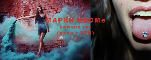 твердый Пересвет