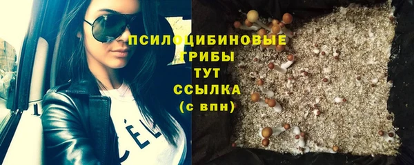 твердый Пересвет