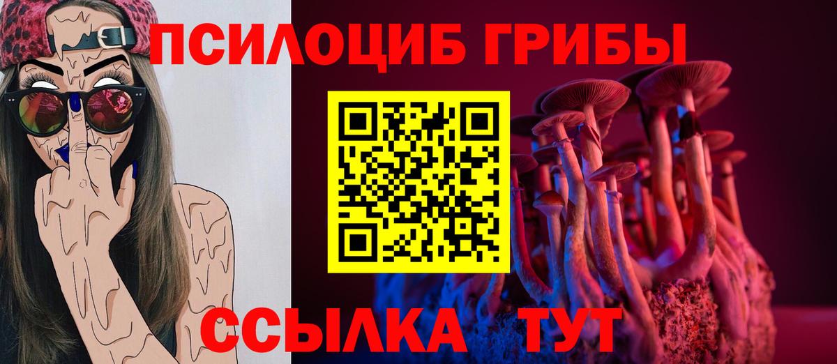 Черногорск  Псилоцибиновые грибы ЛСД  Псилоцибиновые грибы мухоморы  Вход с VPN 